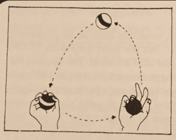 Screenshot 2026 02 23 at 10.49.23 AM